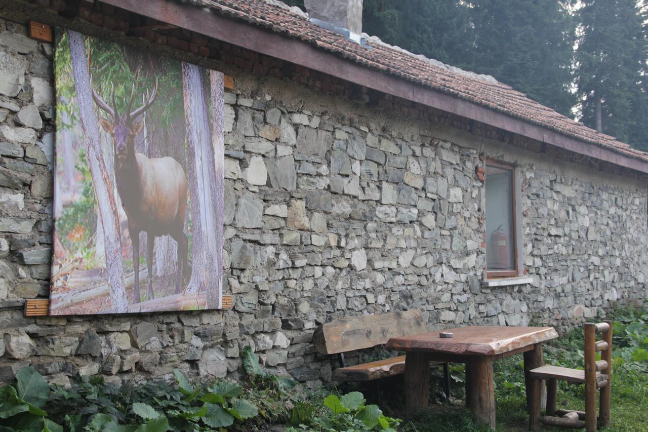 Willa Malka Yurta Hut Panicziszte Zewnętrze zdjęcie